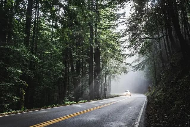 Come Scegliere il Giusto Veicolo per il Tuo Viaggio