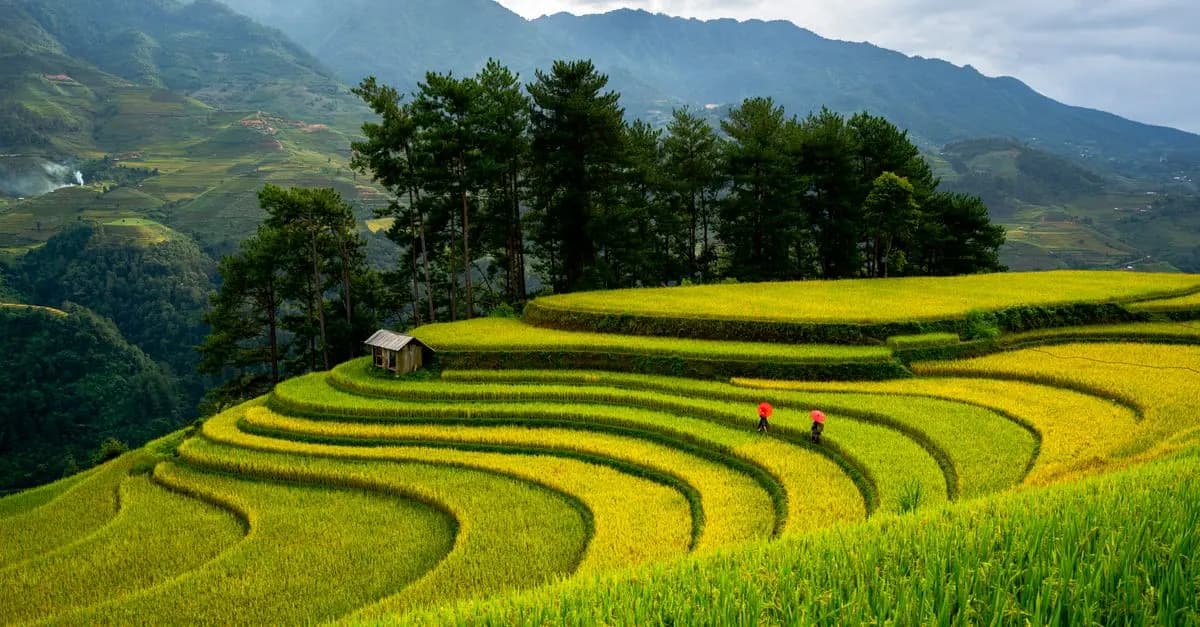 10 Cose da Considerare Prima di Organizzare un Viaggio Indimenticabile