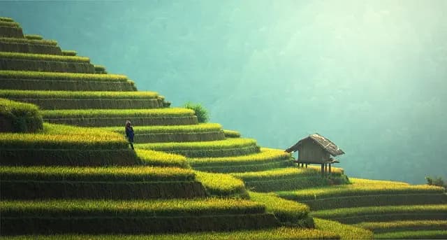 Come Pianificare un Viaggio Sostenibile: Guida Completa