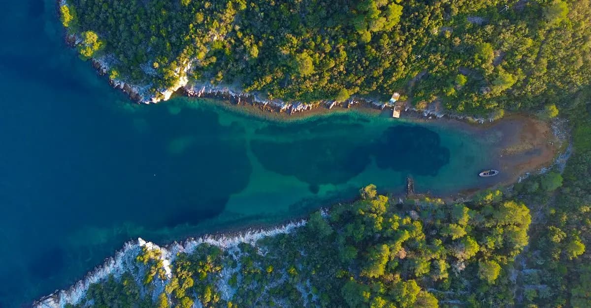 10 Consigli per Pianificare un Viaggio Sostenibile
