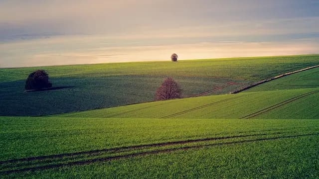 10 Consigli per Organizzare un Viaggio da Sogno in Italia