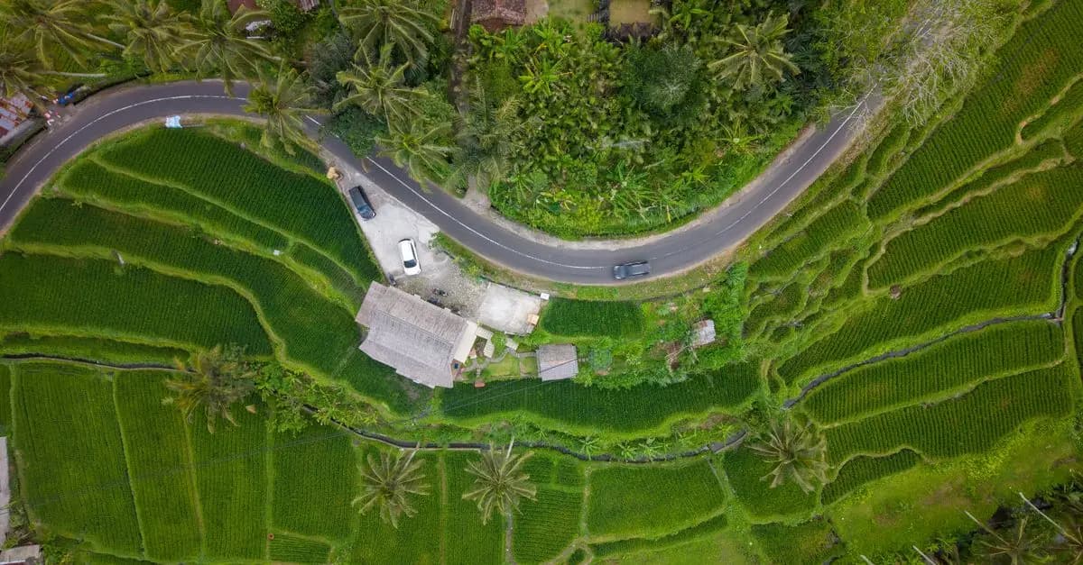 Come Pianificare un Viaggio Eco-Sostenibile: Guida Passo dopo Passo