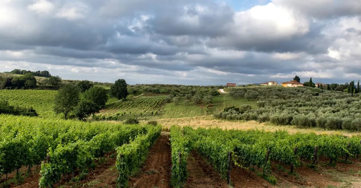 Le Esperienze Gourmet da Non Perdere in Italia