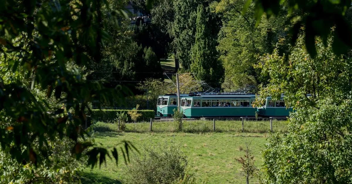 Guida Pratica per Organizzare un Viaggio Eco-Sostenibile