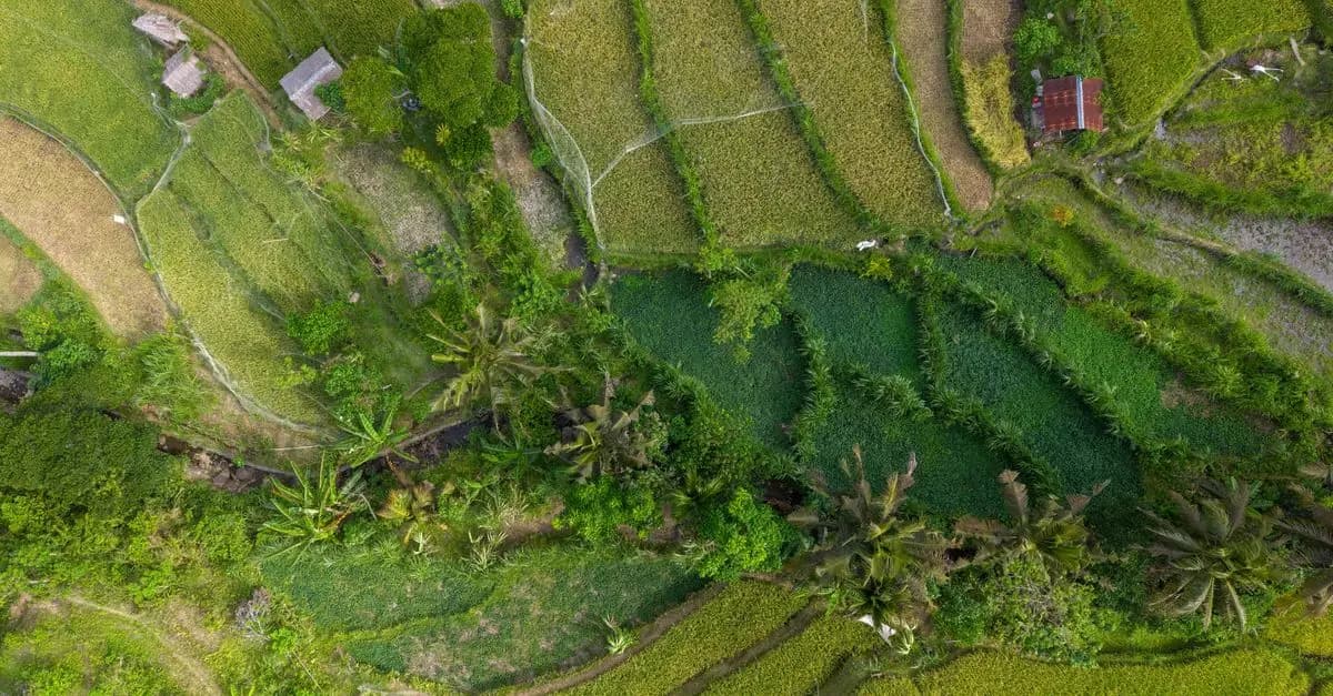 10 Consigli per Pianificare un Viaggio Sostenibile