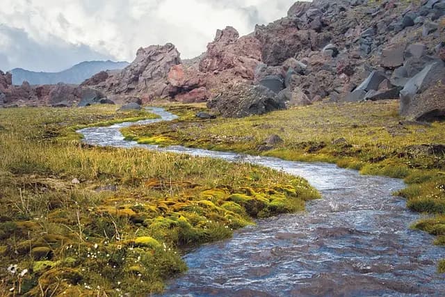 10 Consigli per Viaggiare Sostenibilmente e Responsabilmente