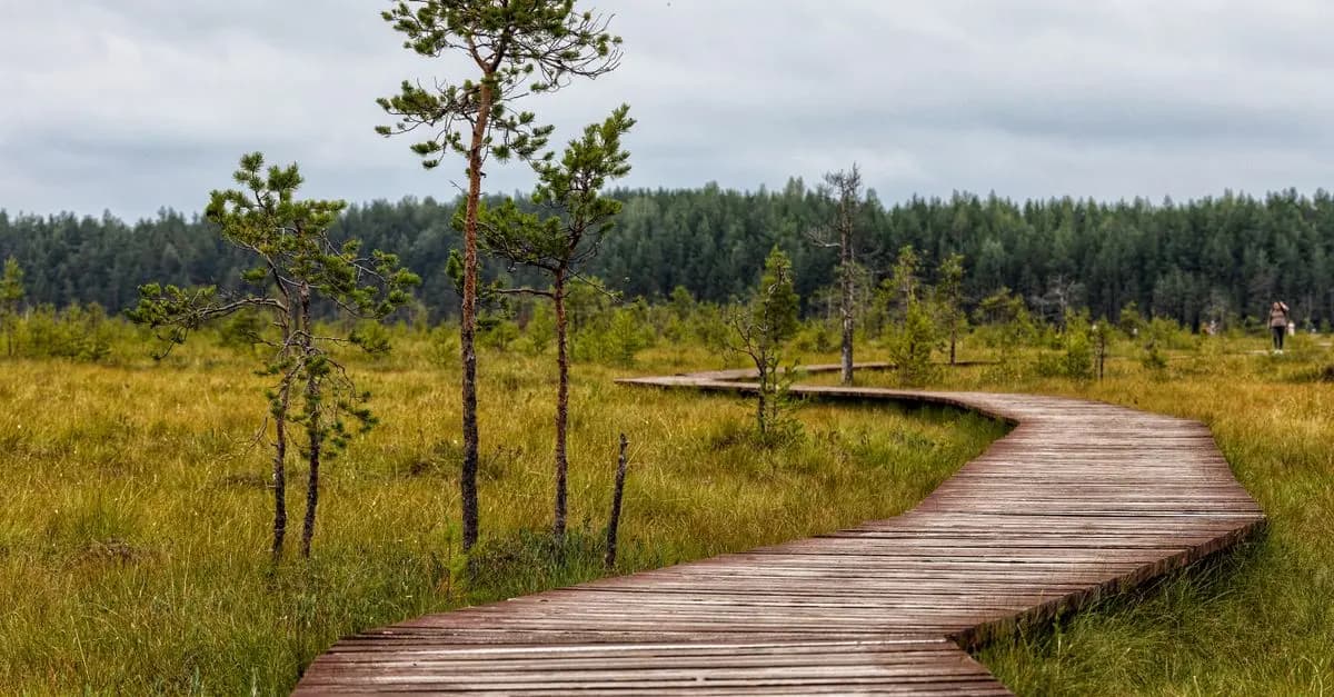 Come Pianificare un Viaggio Sostenibile in Natura