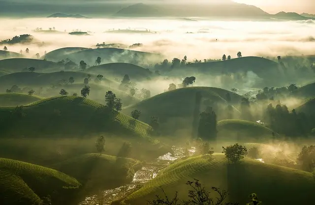 Le migliori tendenze di viaggio sostenibili da seguire