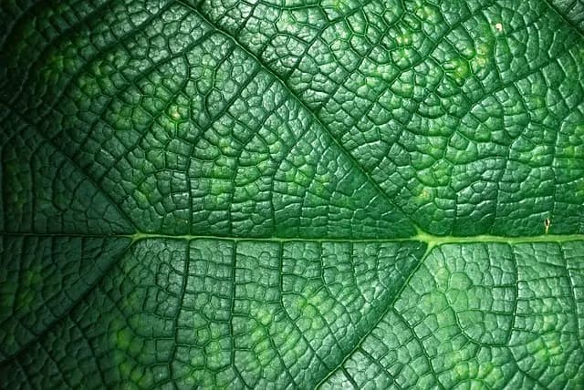 10 Consigli per Pianificare un Viaggio Eco-Sostenibile