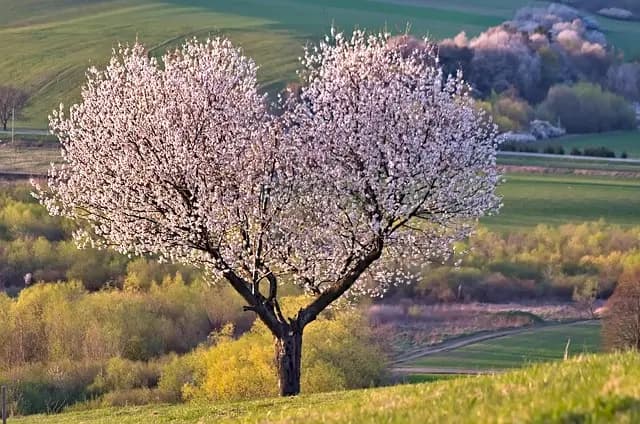 7 Consigli per Scegliere l'Alloggio Perfetto per il Tuo Viaggio