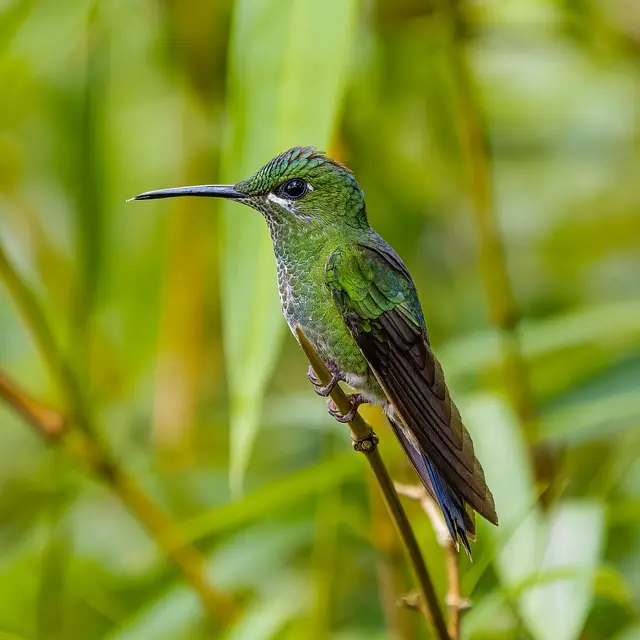 10 Consigli per Pianificare un Viaggio Eco-Sostenibile