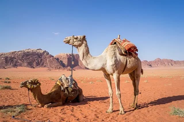 Le Migliori Destinazioni Sconosciute da Esplorare in Italia