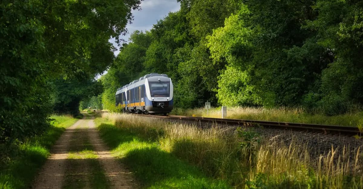 Guida Completa ai Viaggi Sostenibili: Scelte Consapevoli