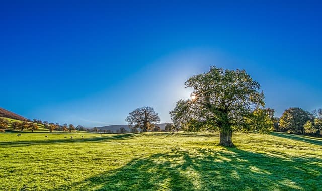 Come Pianificare un Viaggio in Naturalezza Sostenibile