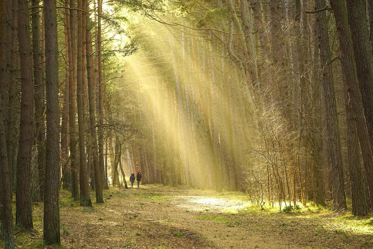 I Vantaggi del Viaggio in Gruppo: Perché Scegliere Questa Opzione
